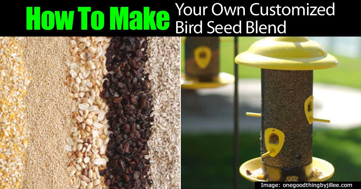 How to Make Your Own Bird Seed Mix