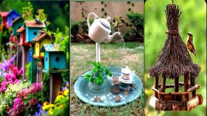 How to Make Your Yard Bird Friendly