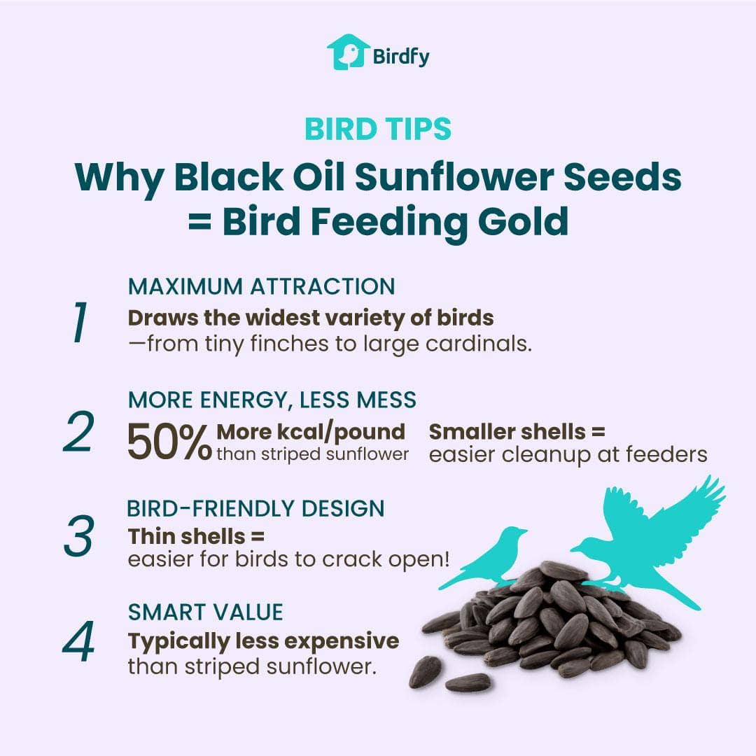 How to Pick Bird Seed