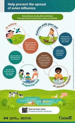 How to Prevent Avian Influenza