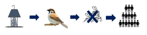 How to Prevent West Nile Virus in Birds