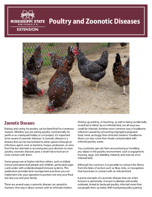 How to Prevent Zoonotic Diseases from Birds