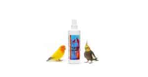 How to Protect Birds from Sunburn