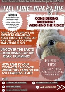 How to Take Care of Cockatiel Bird