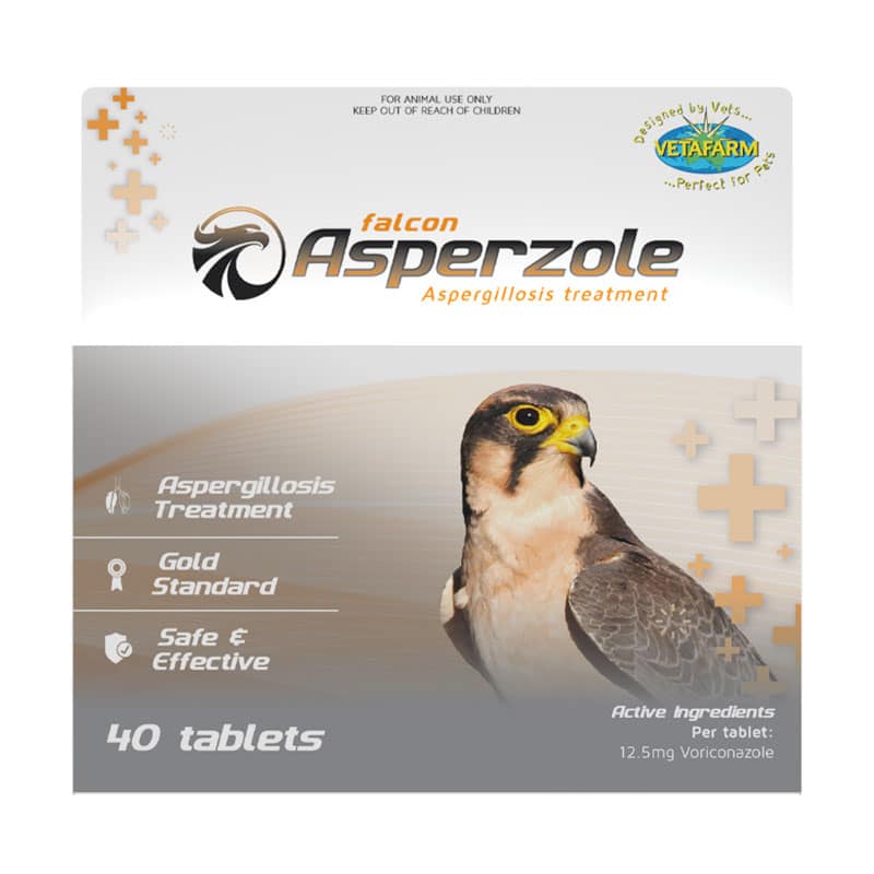 How to Treat Aspergillosis in Birds