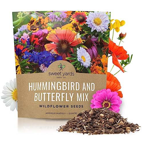 Humming Birds And Flowers