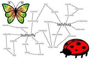 Is a Butterfly a Bird Or Insect