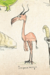 Is an Impala a Mammal Bird Insect Or Fish