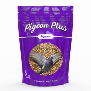 Is Bird Seed Dangerous for Dogs