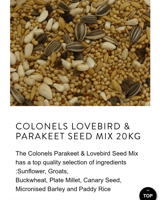 Is Bird Seed Safe for Birds