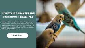 Is It Safe to Eat Bird Pecked Fruit