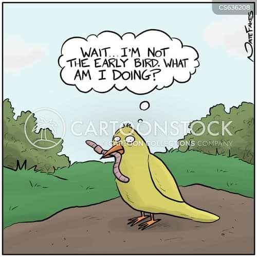Is the Early Bird Gets the Worm a Cliche