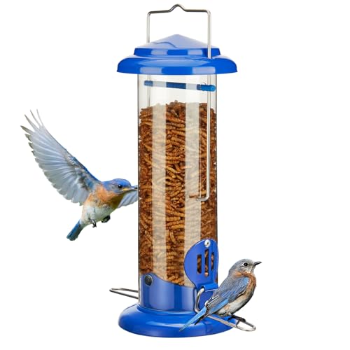 Mealworm Bird Feeder