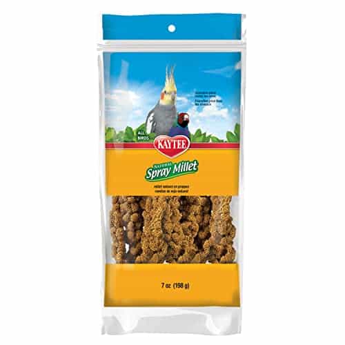 Millet Spray for Birds
