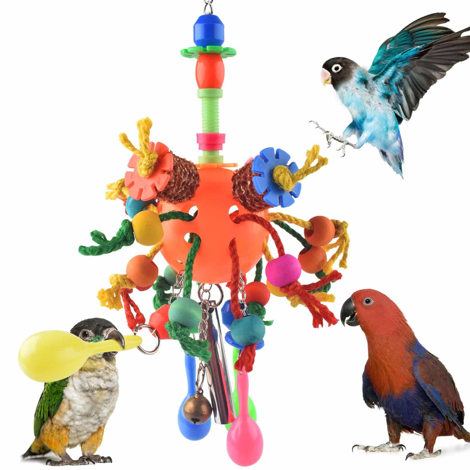 Mini Bird Toys