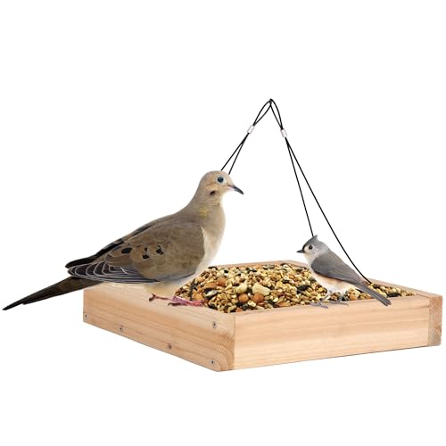 Mourning Dove Bird Feeder