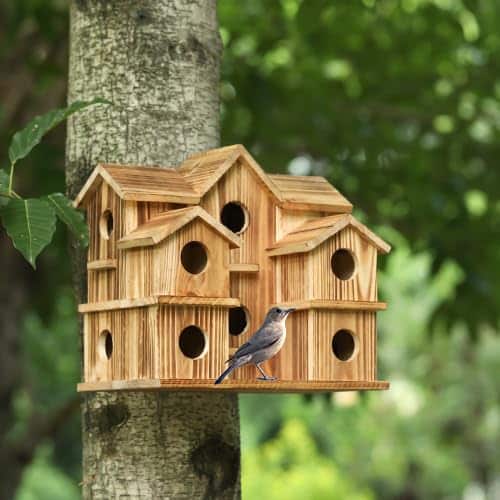 Multi Bird Houses