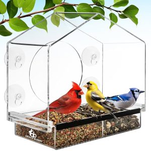 Multi Purpose Window Bird Feeder
