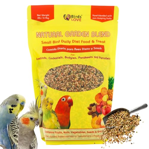 Natural Berries Birds Love