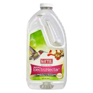 Nectar Bird Feeder