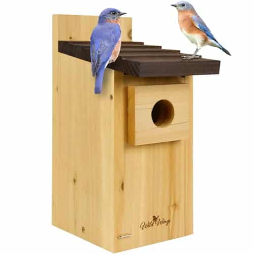Nest Boxes for Wild Birds