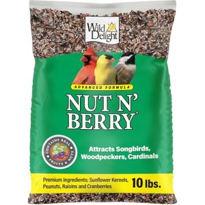 Nut N Berry Bird Seed