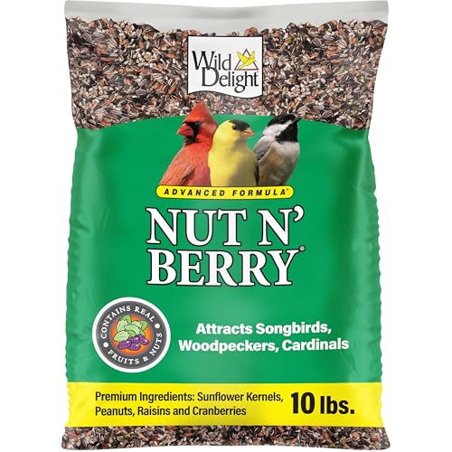 Nut N Berry Bird Seed