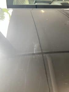Old Bird Poop Stain on Car