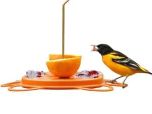 Oriole Bird Feeder
