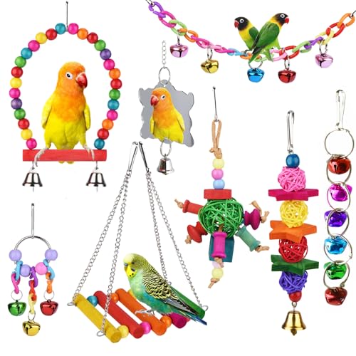 Parakeet Bird Toys