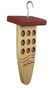 Peanut Butter Bird Feeder