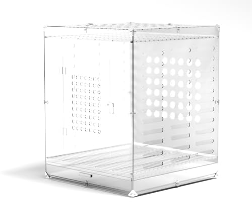 Perspex Bird Cage