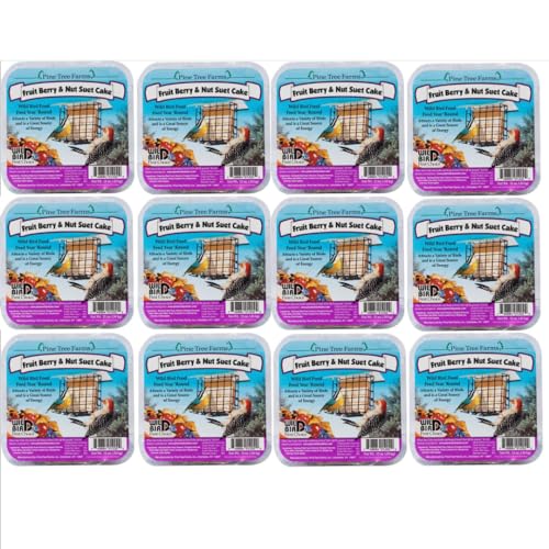 Pine Tree Bird Suet Fruit And Nuts