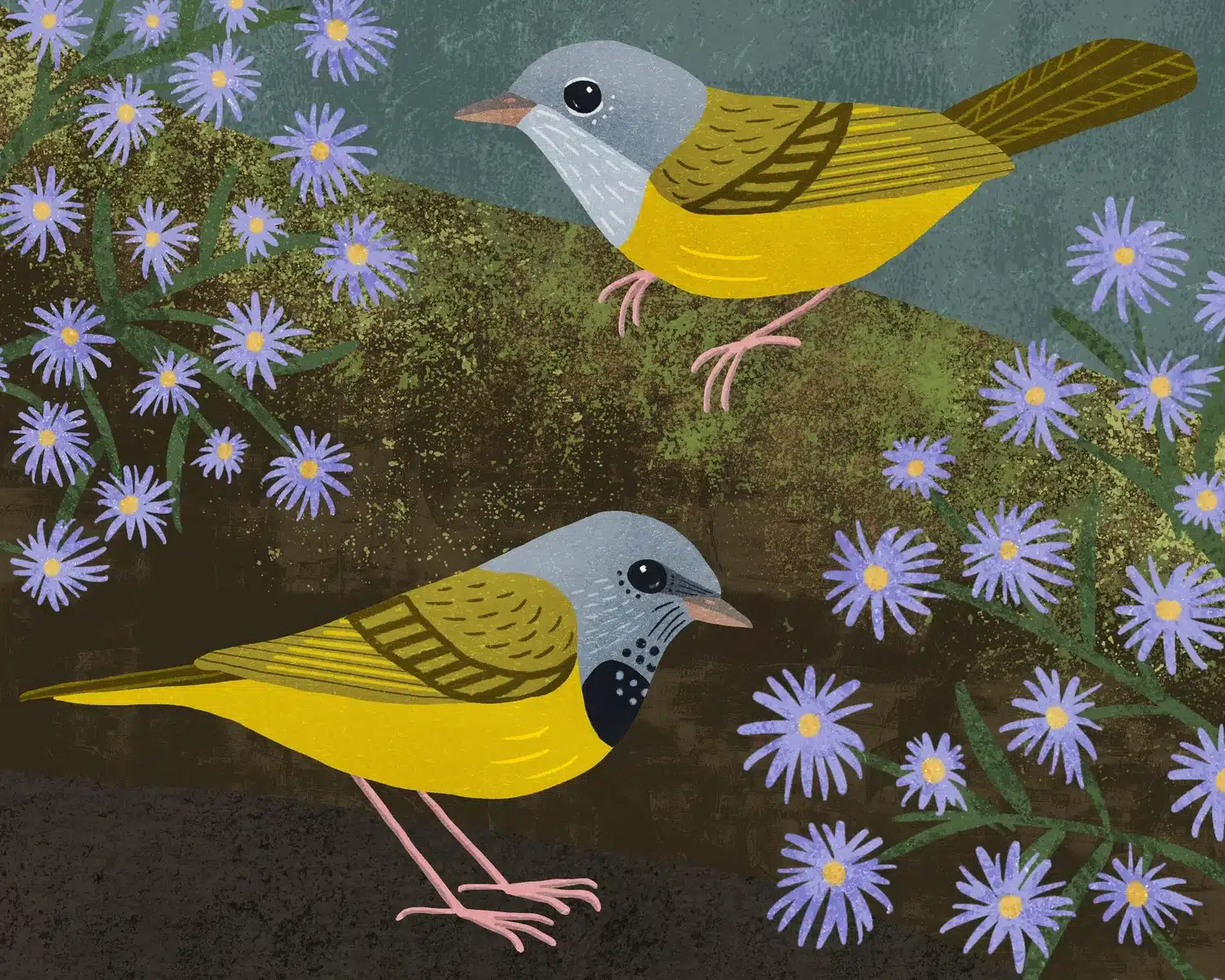 Plants That Attract Birds
