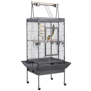 View of Quaker Parrot Bird Cage: Spacious, Durable Options for Happy Parrots ...