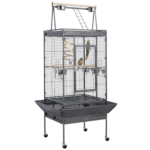 Quaker Parrot Bird Cage