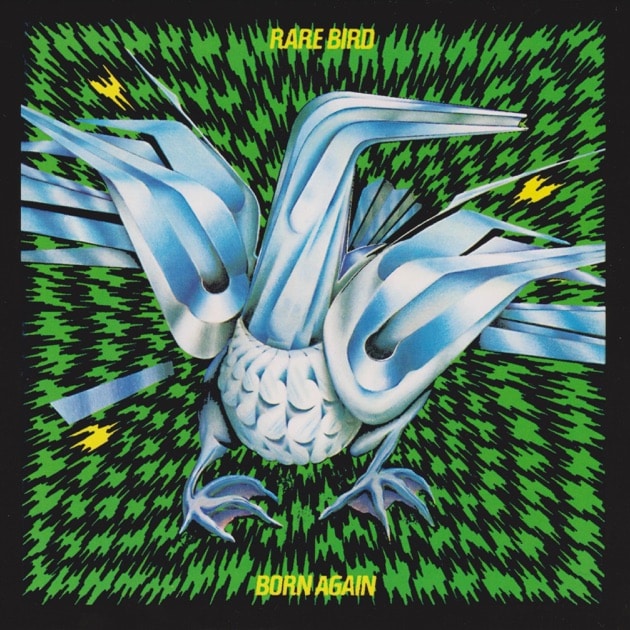 Rare Bird Band