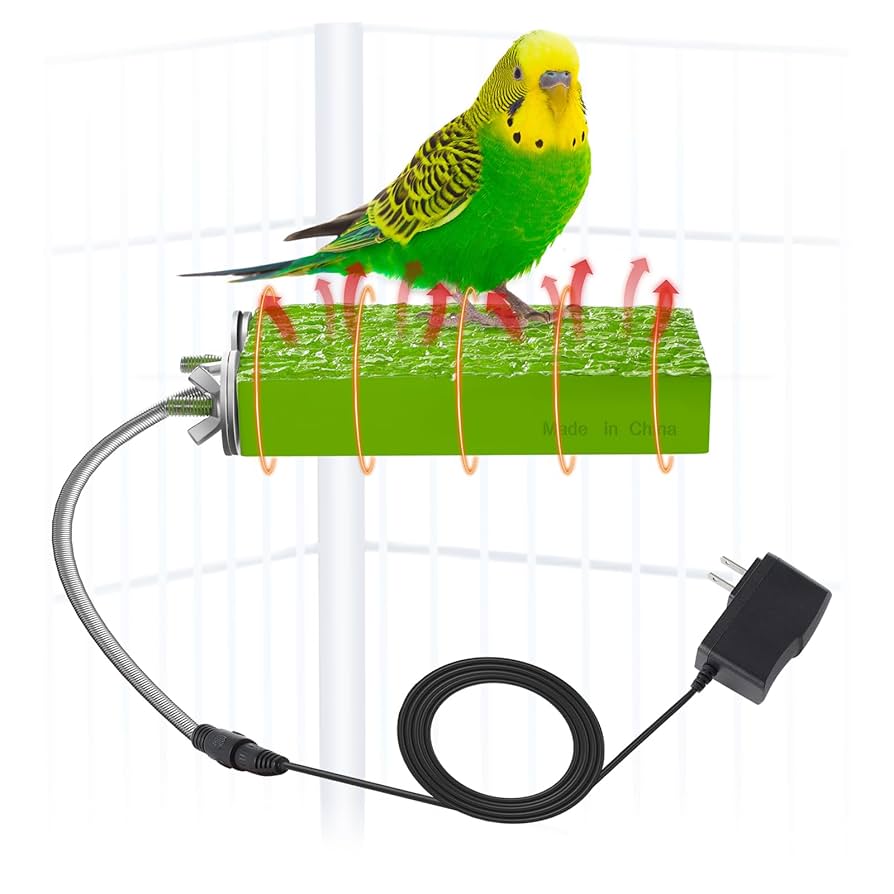 Safe Temperature for Pet Birds