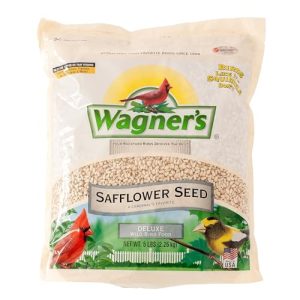 Safflower Seed Bird Feeder
