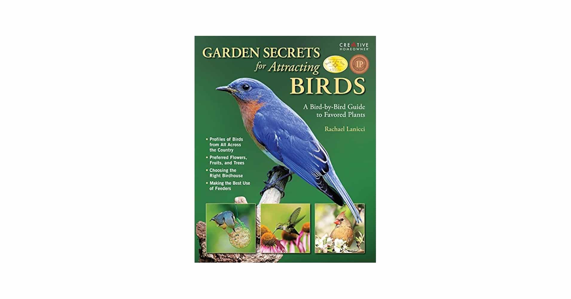 Secrets to Attracting Birds