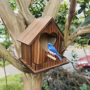 Shelter for Birds in Backyard