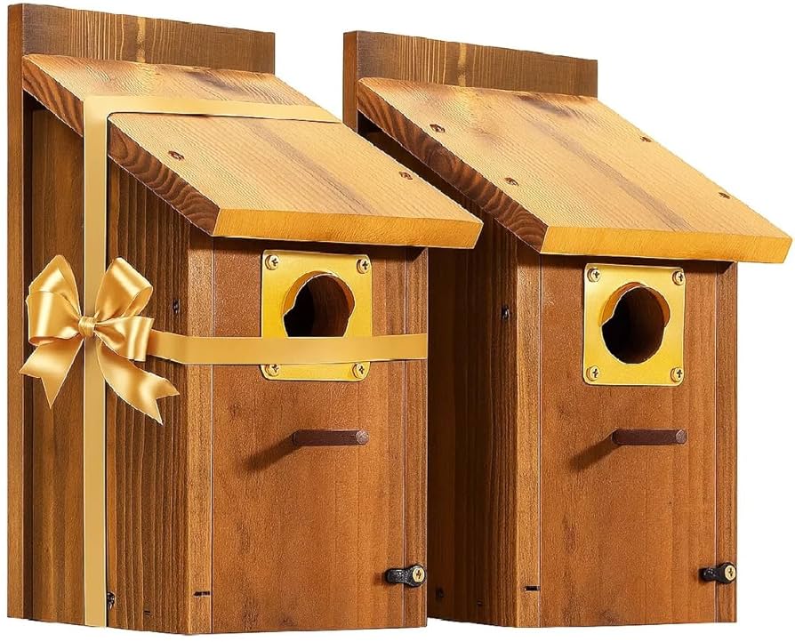 Should Bird Boxes Have a Perch