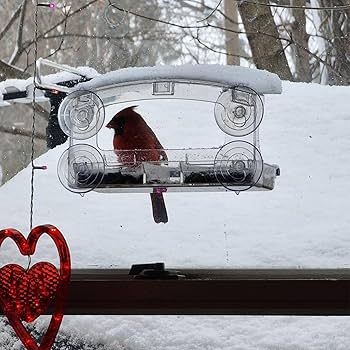 Snow Proof Window Bird Feeder