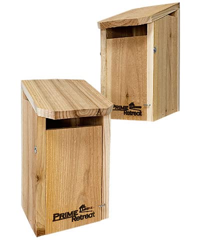 Sparrow Proof Bird House