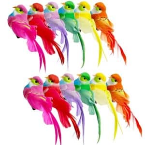 Spring Birds Flowers