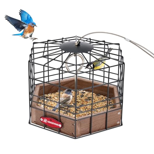 Squirrel Proof Platform Bird Feeder