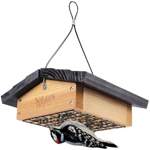 Starling Proof Bird Feeder