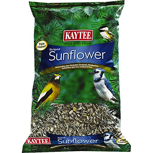 Striped Sunflower Seeds for Birds