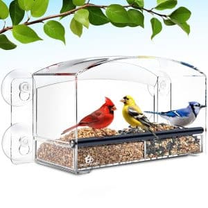 Suction Cup Mounted Window Bird Feeder
