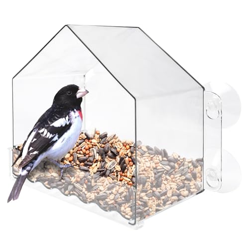 Suction Cup Window Bird Feeder